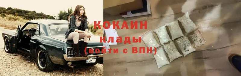 купить наркотик  Владикавказ  Cocaine Fish Scale 